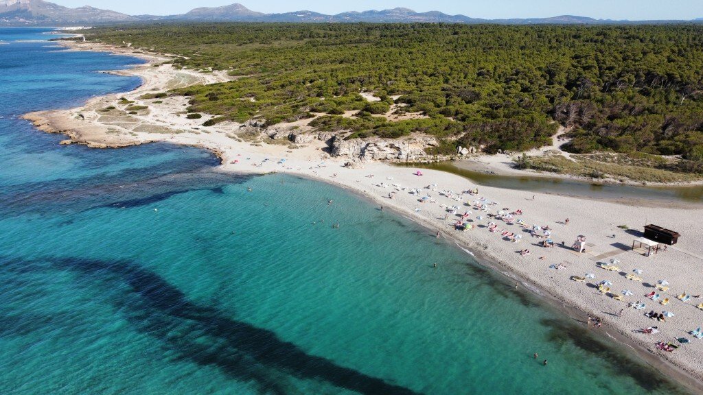 Land in Santa Margalida, Balearic Islands, Spain 1 - 15559949
