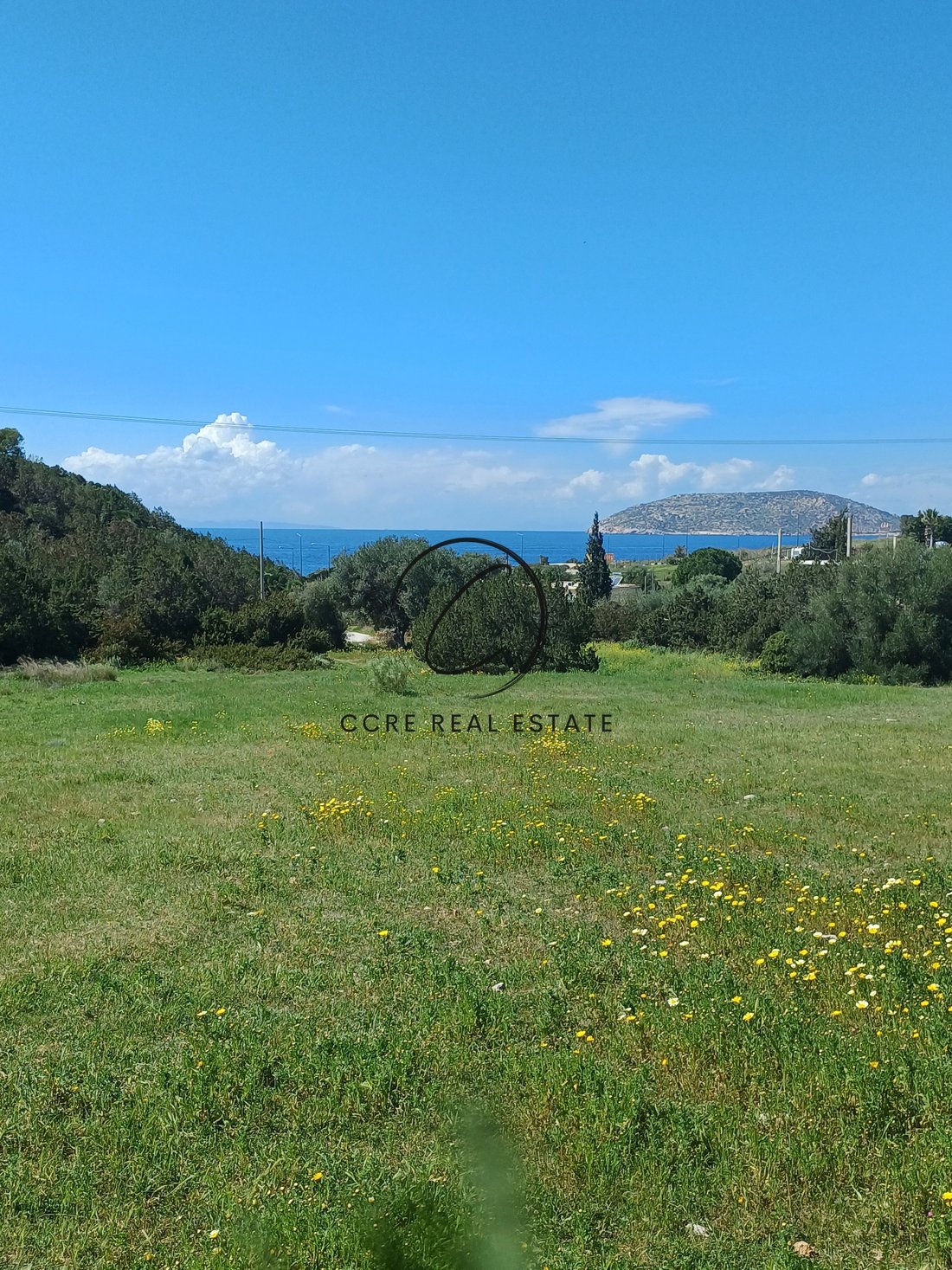 Land in Palea Fokea, Attica, Greece 2 - 13944643