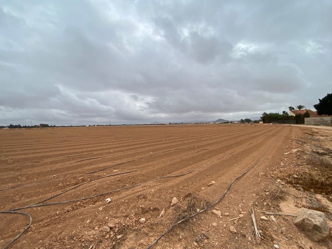 Land in Canteras, Cartagena, Spain 1 - 15556709