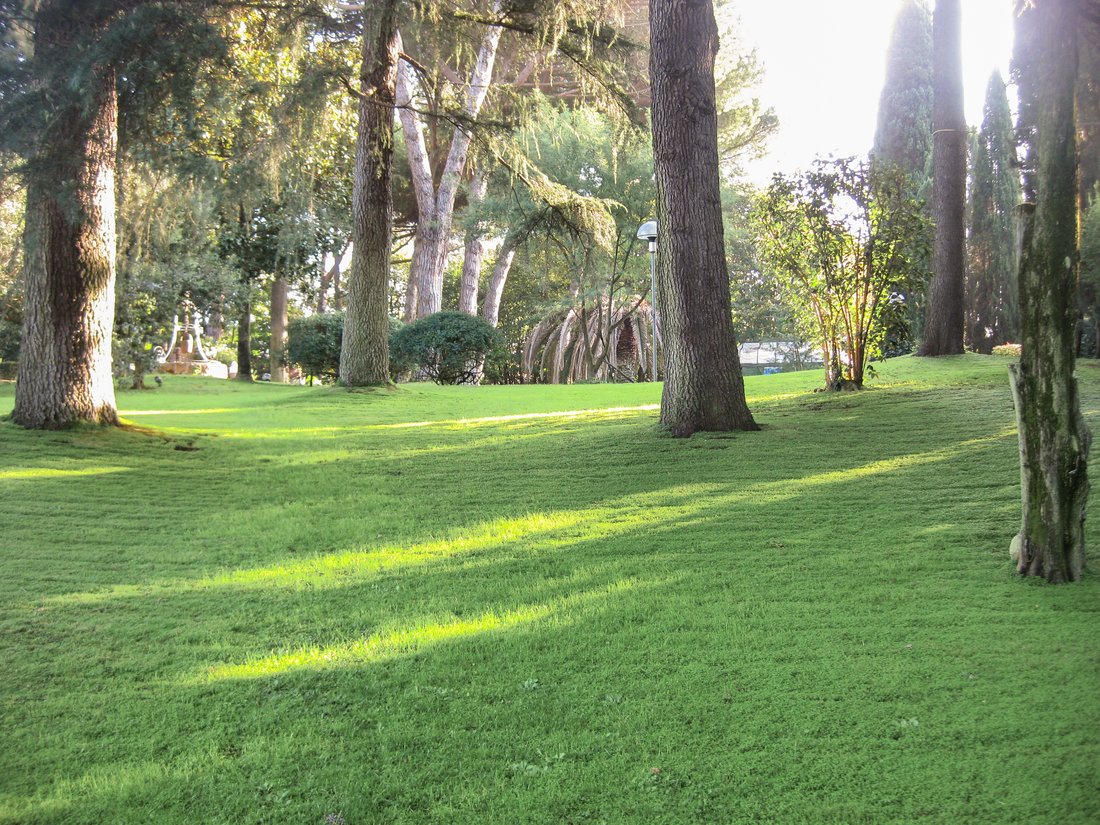 Villa in Serafico - Roma 70, Rom, Italien 5 - 15561572