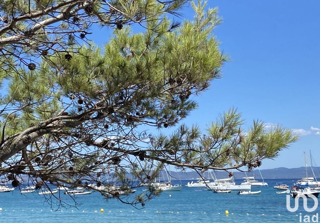 Apartment in La Londe-les-Maures, Provence-Alpes-Côte d'Azur, France 1 - 15566365