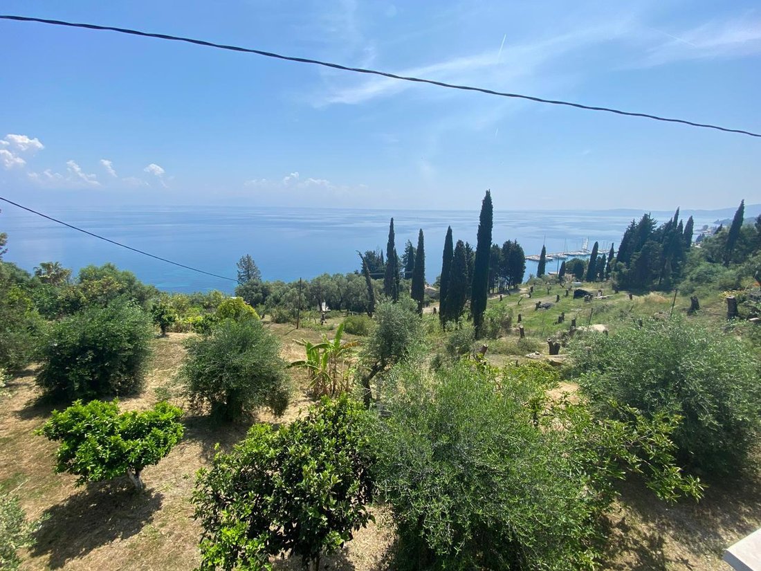 Land in Corfu, Peloponnese, Western Greece and the Ionian, Greece 3 - 15573039