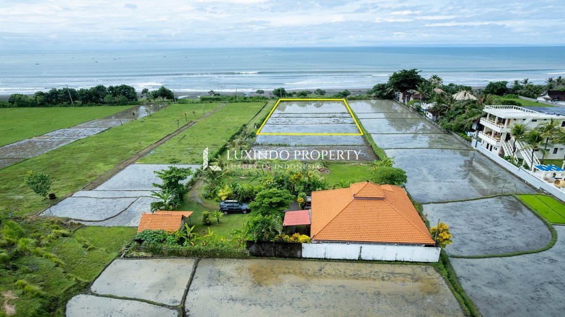 Land in Mendoyo, Bali, Indonesia 4 - 15571517