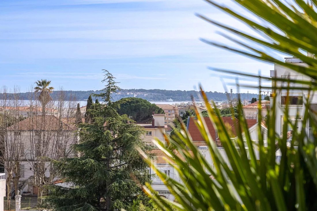Apartment in Cannes, Provence-Alpes-Côte d'Azur, France 3 - 12601552