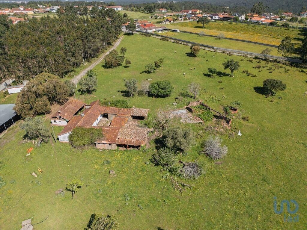 Land in Souto da Carpalhosa e Ortigosa, Leiria District, Portugal 2 - 15567194