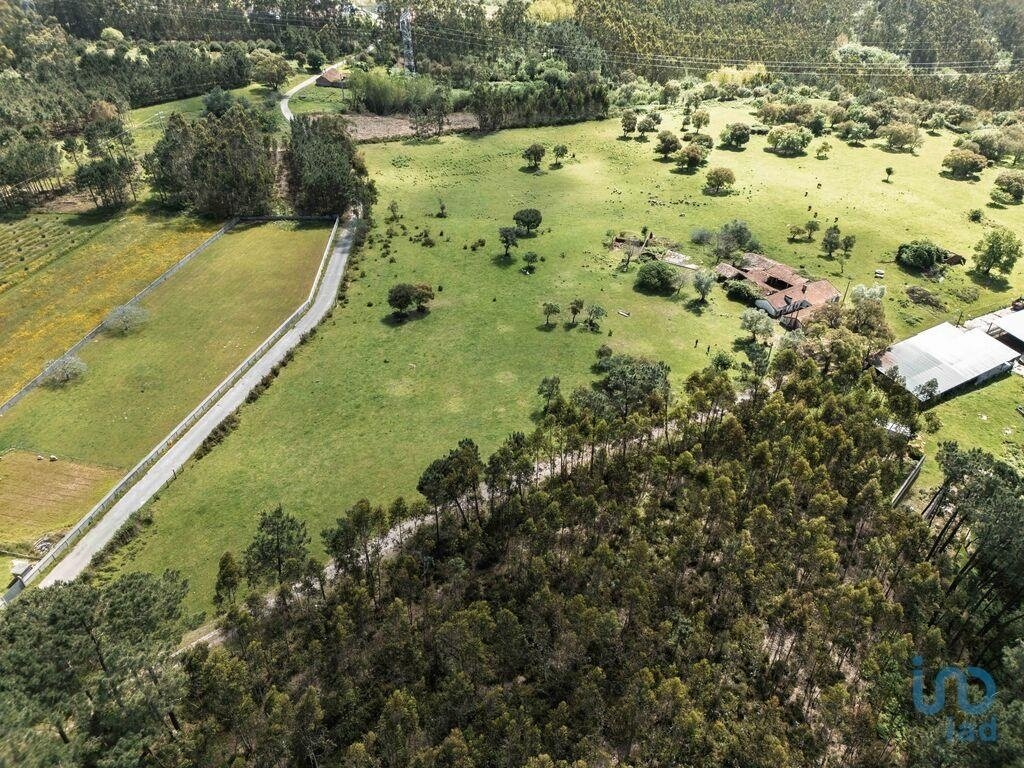 Land in Souto da Carpalhosa e Ortigosa, Leiria District, Portugal 3 - 15567194
