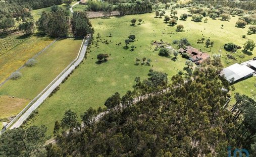 Land in Souto da Carpalhosa e Ortigosa, Leiria District, Portugal 1