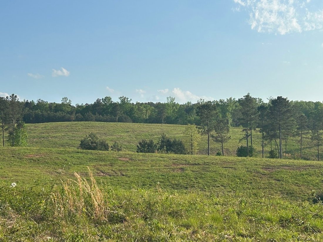 Land in Roopville, Georgia, United States 1 - 15524212