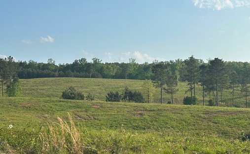 Land in Roopville, Georgia, United States 1