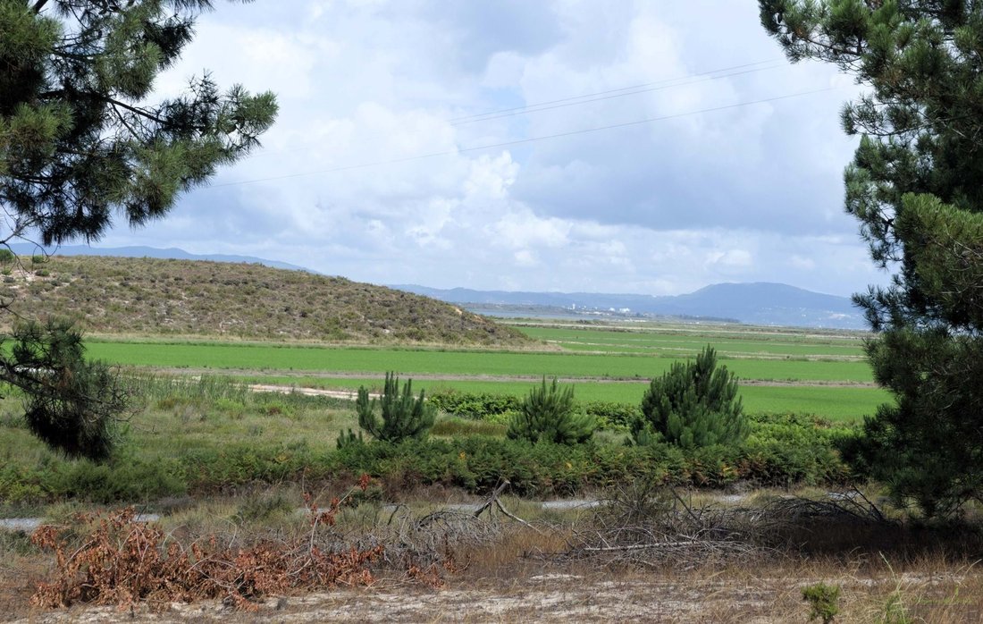 Land in Comporta, Setubal, Portugal 4 - 15563385