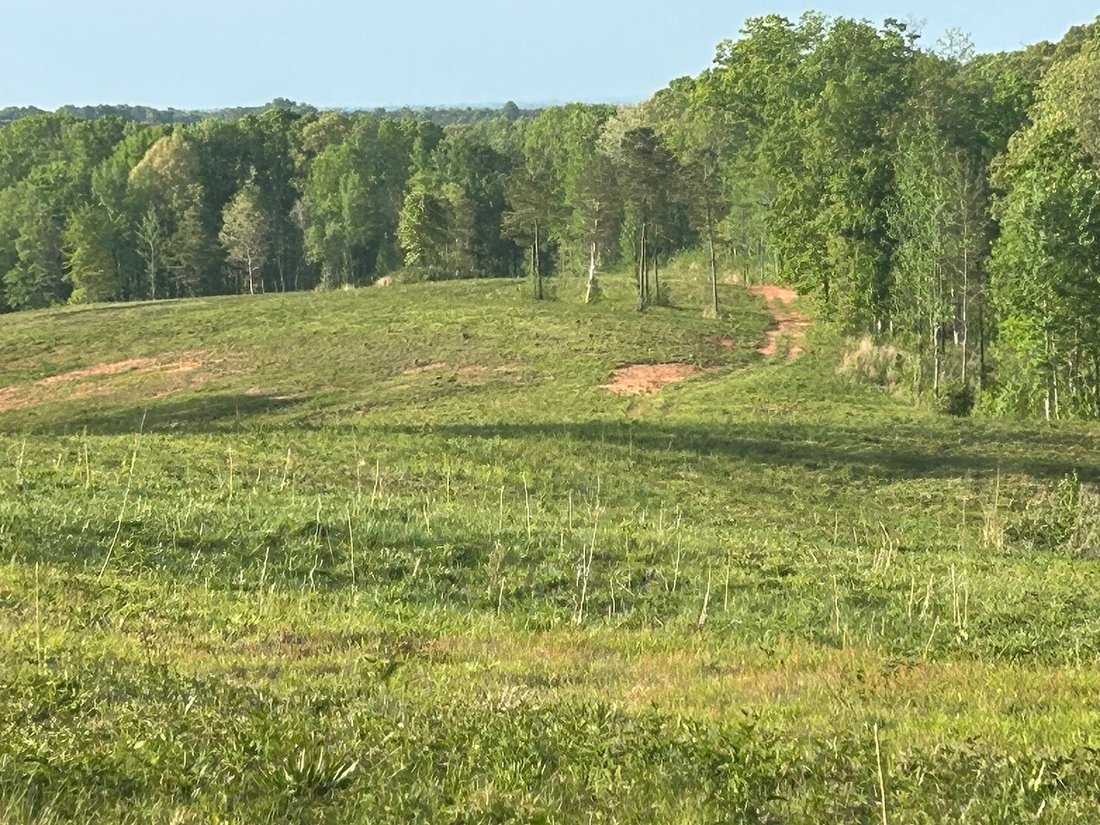 Land in Roopville, Georgia, United States 2 - 15524212