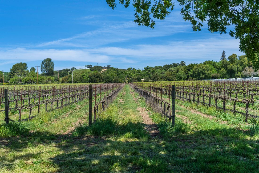 Farm Ranch in Santa Ynez, California, United States 2 - 15576994