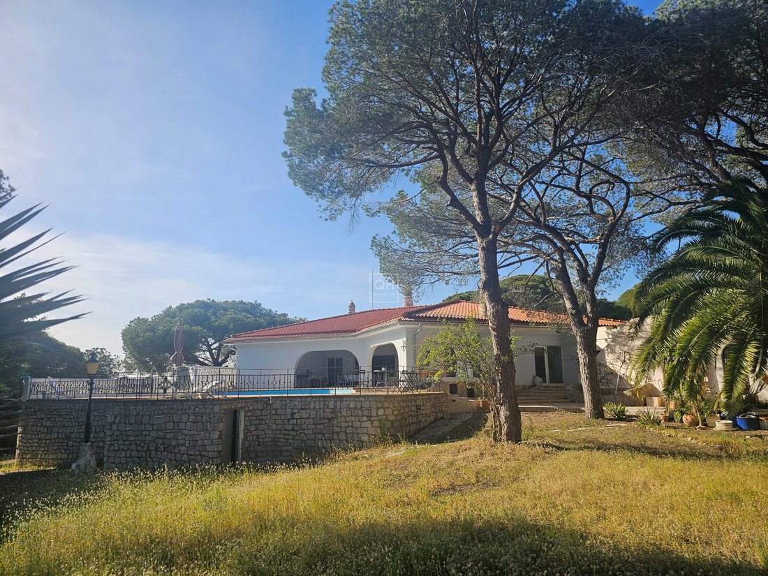 Farm Ranch in Almancil, Algarve, Portugal 4 - 15579328