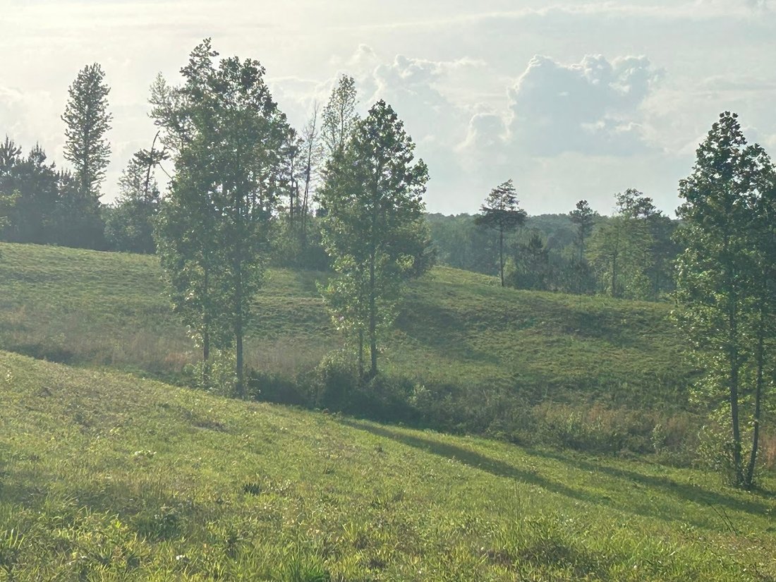 Land in Roopville, Georgia, United States 3 - 15524212