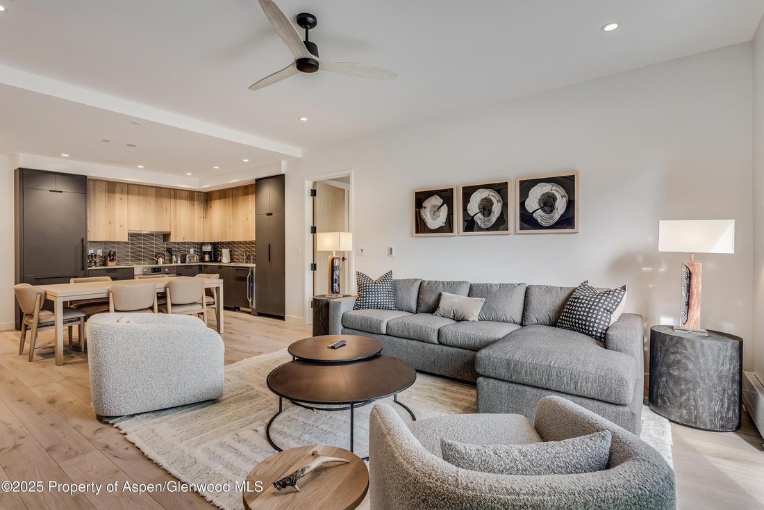Condo in Snowmass Village, Colorado, United States 4 - 15350959