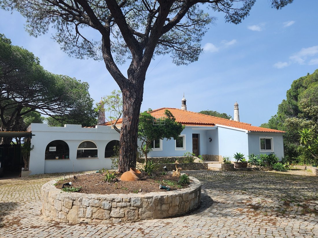 Farm Ranch in Almancil, Algarve, Portugal 3 - 15579328