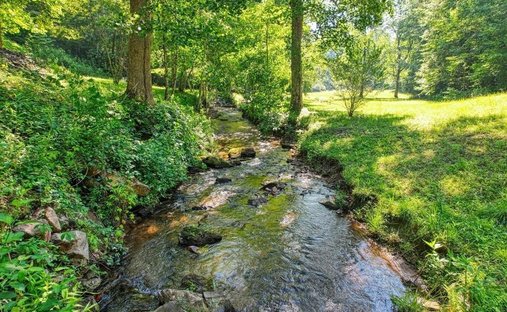 Maison à Hiawassee, Géorgie, États-Unis 1