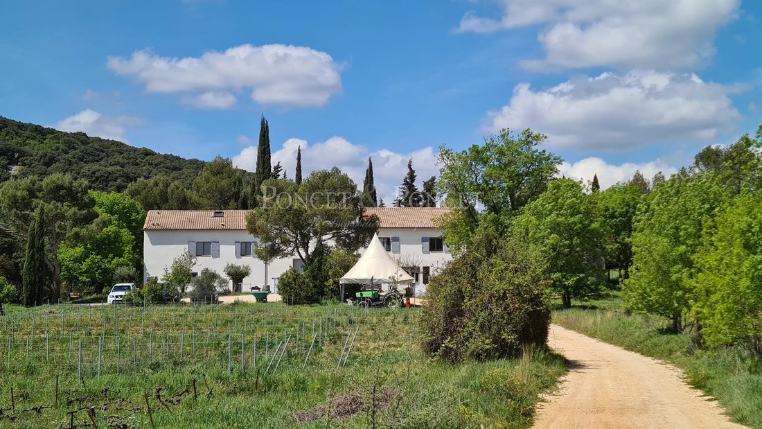 Farm Ranch in Centre Historique, Montpellier, France 2 - 15568858