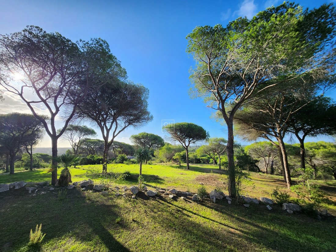 Farm Ranch in Almancil, Algarve, Portugal 1 - 15579328