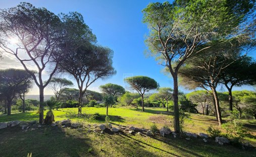 Azienda agricola a Almancil, Algarve, Portogallo 1
