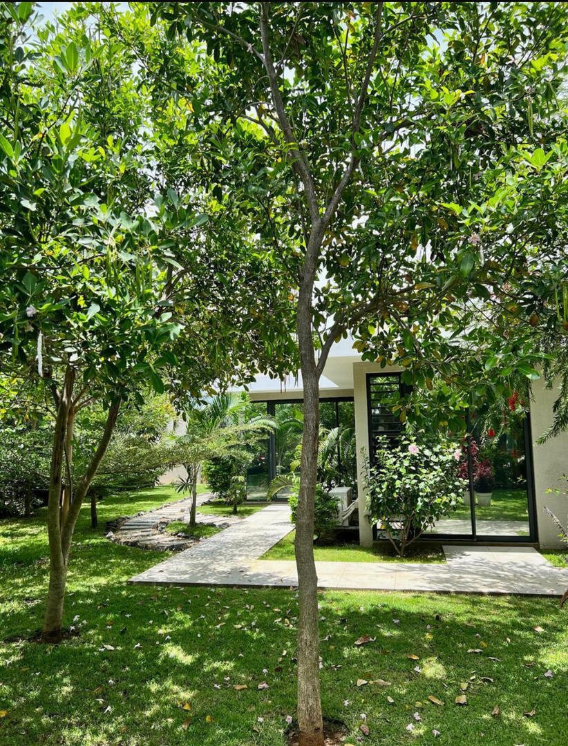 Villa in Grand Baie, Rivière du Rempart District, Mauritius 4 - 15579600