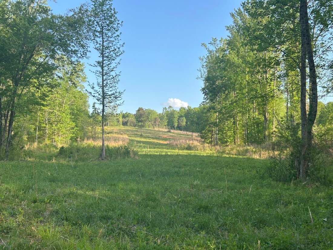 Land in Roopville, Georgia, United States 4 - 15524212