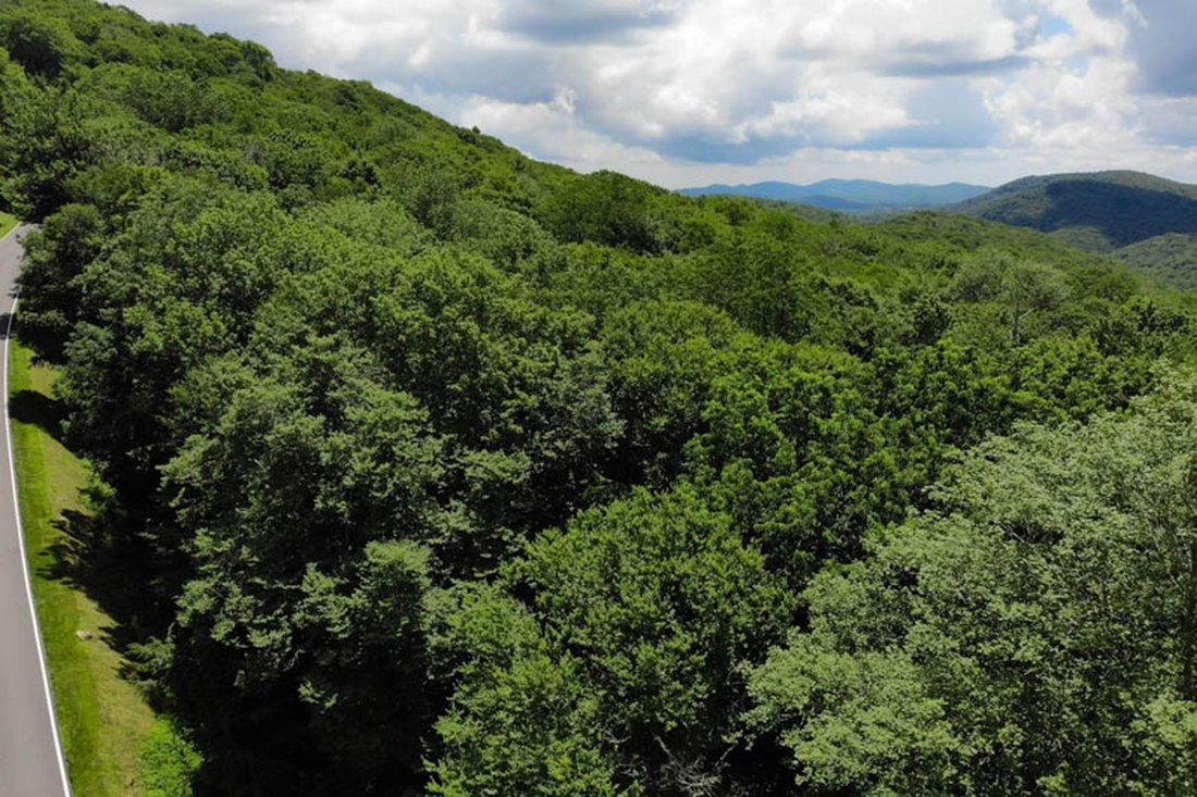 Land in Linville, North Carolina, United States 3 - 15563462