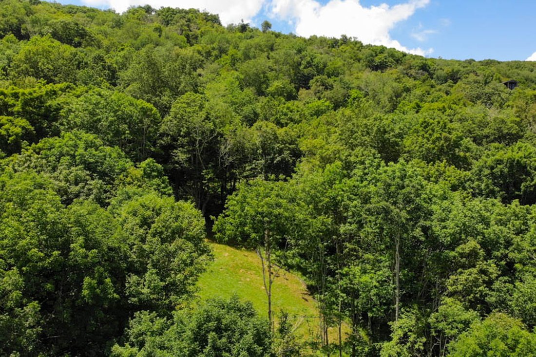 Land in Linville, North Carolina, United States 4 - 15563463