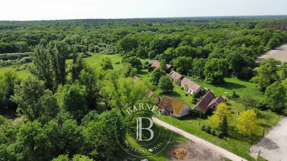 Estate in Gy-en-Sologne, Centre-Val de Loire, France 2 - 15579110