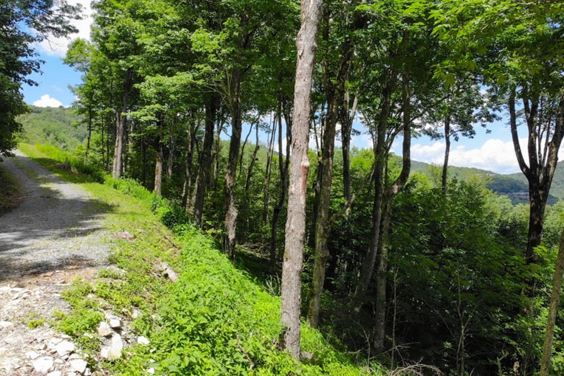 Land in Linville, North Carolina, United States 1 - 15563460