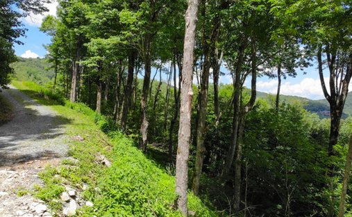 Land in Linville, North Carolina, United States 1