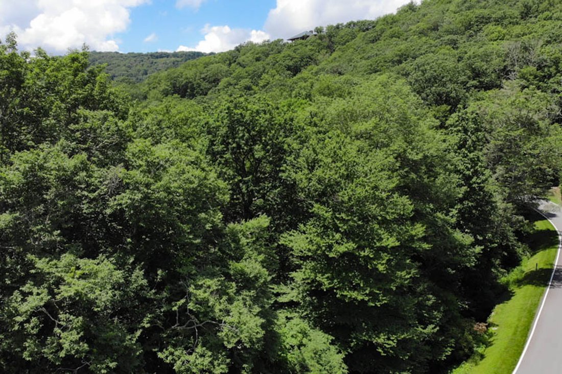 Land in Linville, North Carolina, United States 4 - 15563462