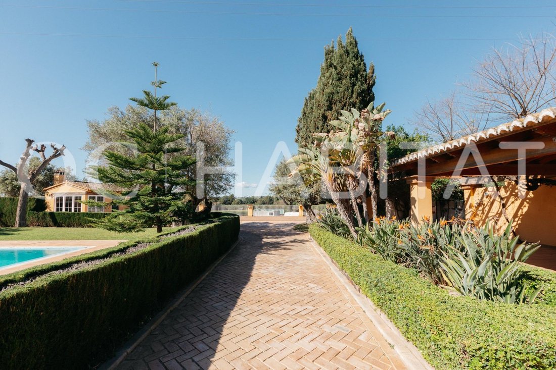 Villa in Betera, Valencian Community, Spain 2 - 15565419