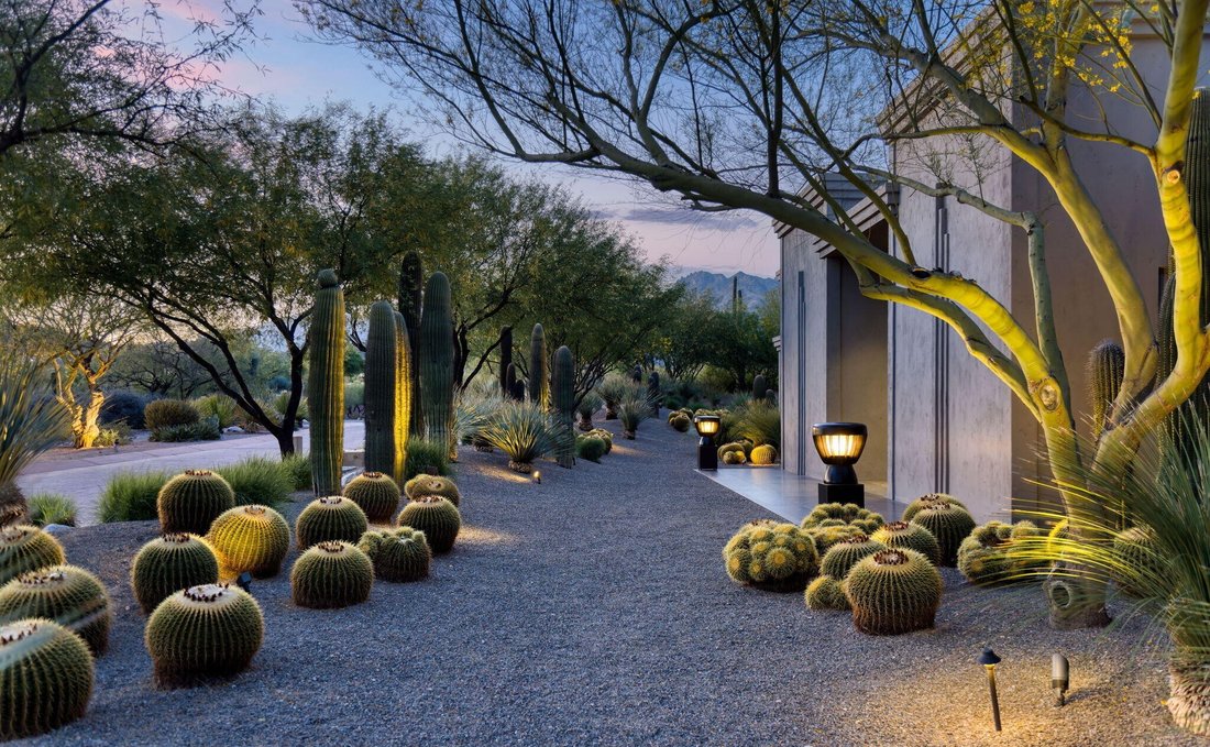 House in Tucson, Arizona, United States 4 - 15569460