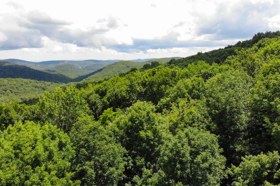Land in Linville, North Carolina, United States 5 - 15563463