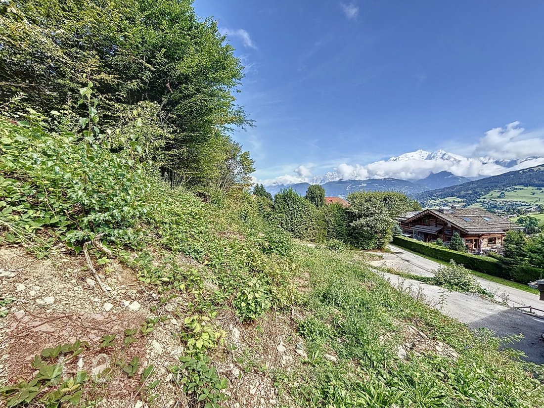 Land in Combloux, Auvergne-Rhône-Alpes, France 2 - 14589412