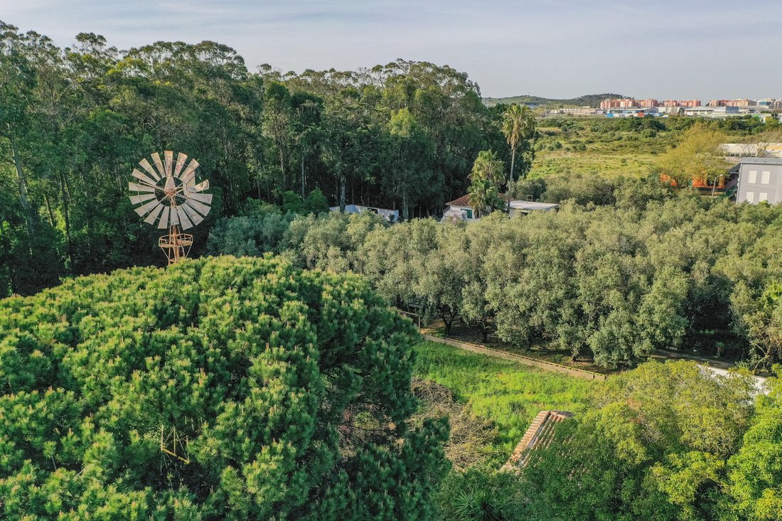 Farm Ranch in Sintra, Lisbon, Portugal 3 - 15428224
