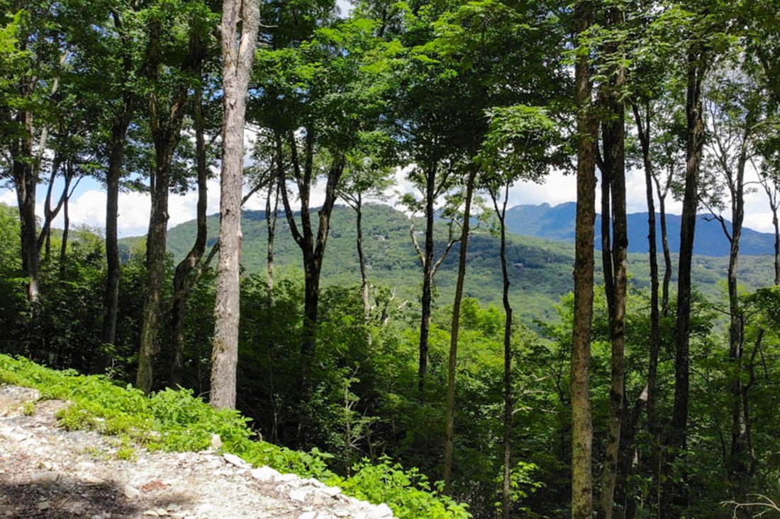 Land in Linville, North Carolina, United States 3 - 15563460