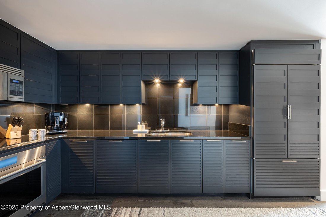 Appartement à Snowmass Village, Colorado, États-Unis 3 - 15178379