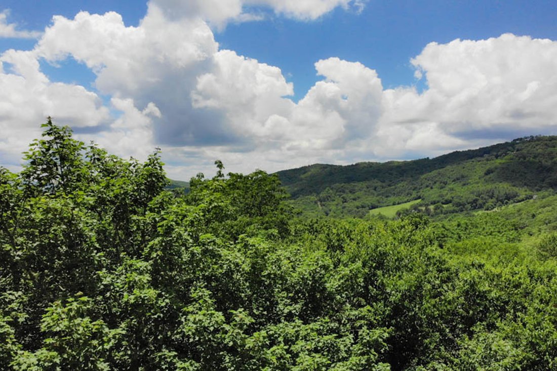 Land in Linville, North Carolina, United States 1 - 15563462