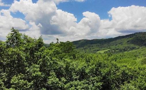 Land in Linville, North Carolina, United States 1