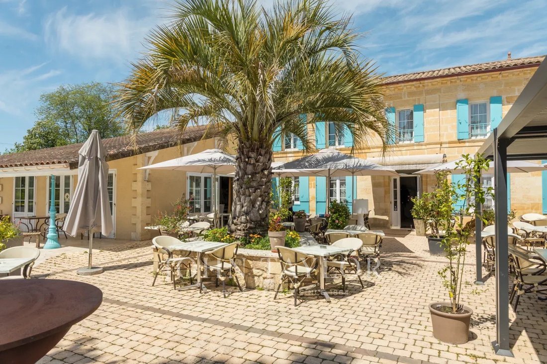 Estate in Sainte-Terre, Nouvelle-Aquitaine, France 3 - 15573840
