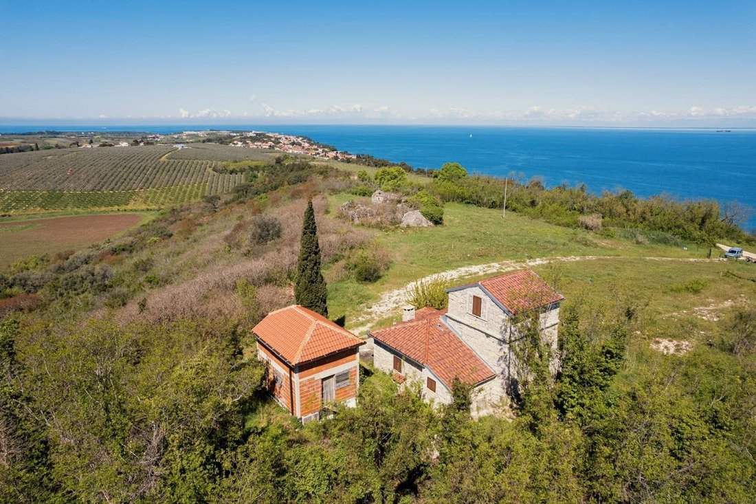 Villa in Crveni Vrh, Istria County, Croatia 2 - 15563156