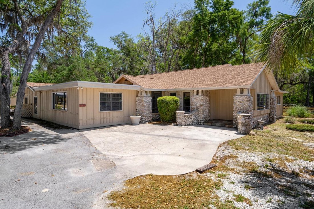 Lecanto, Florida, United States 3 - 15571413