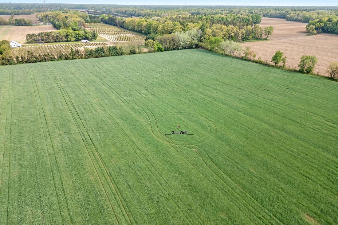 Land in Simcoe, Ontario, Canada 2 - 15573410