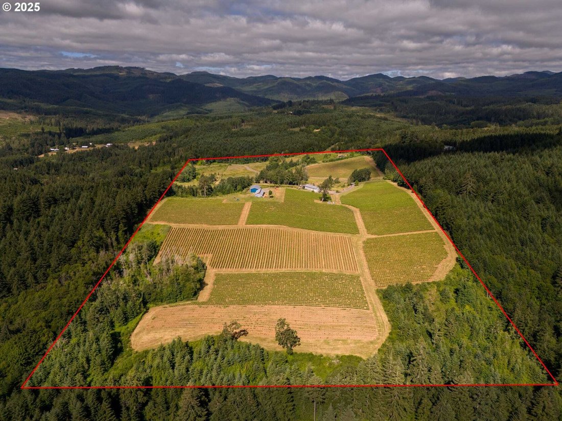 House in Carlton, Oregon, United States 2 - 15579558