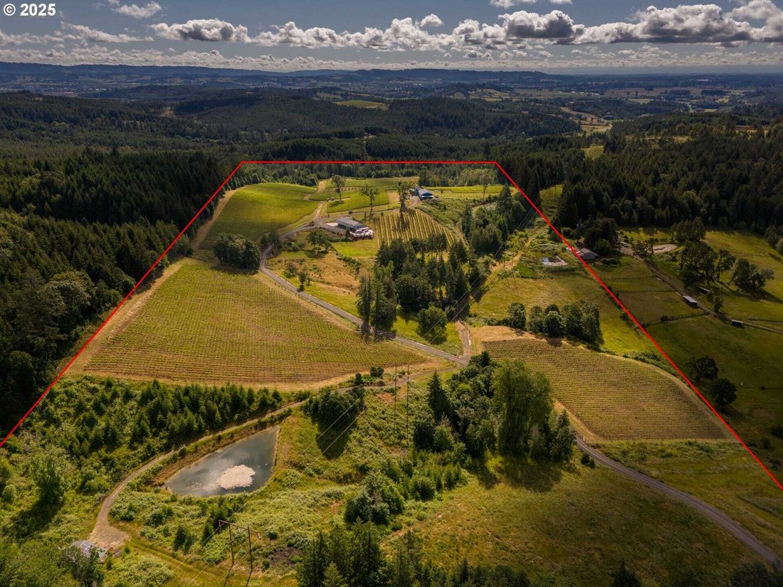 House in Carlton, Oregon, United States 3 - 15579558