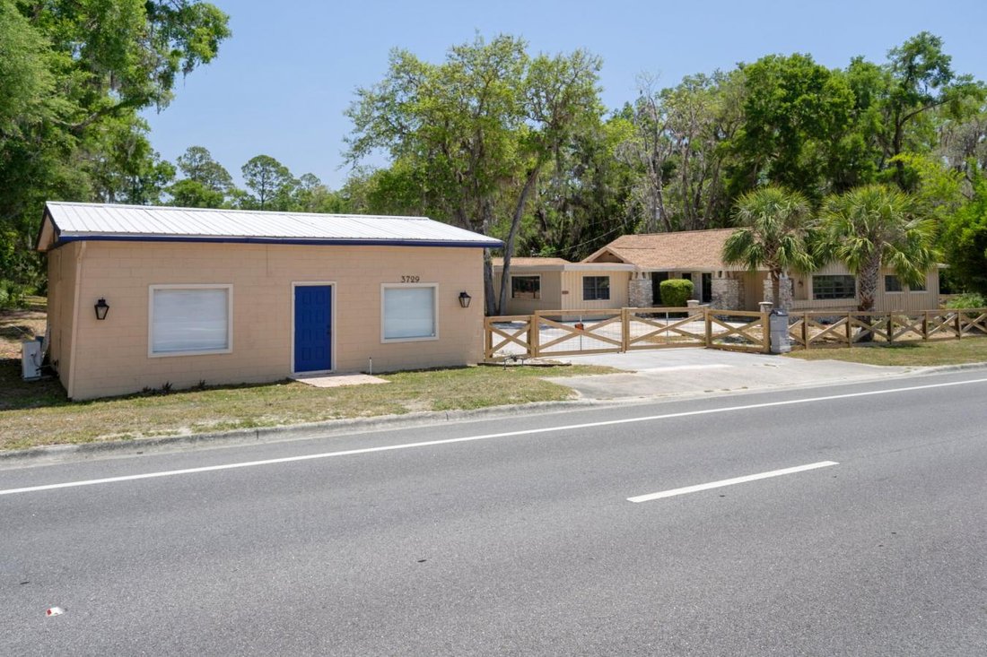 Lecanto, Florida, United States 2 - 15571413