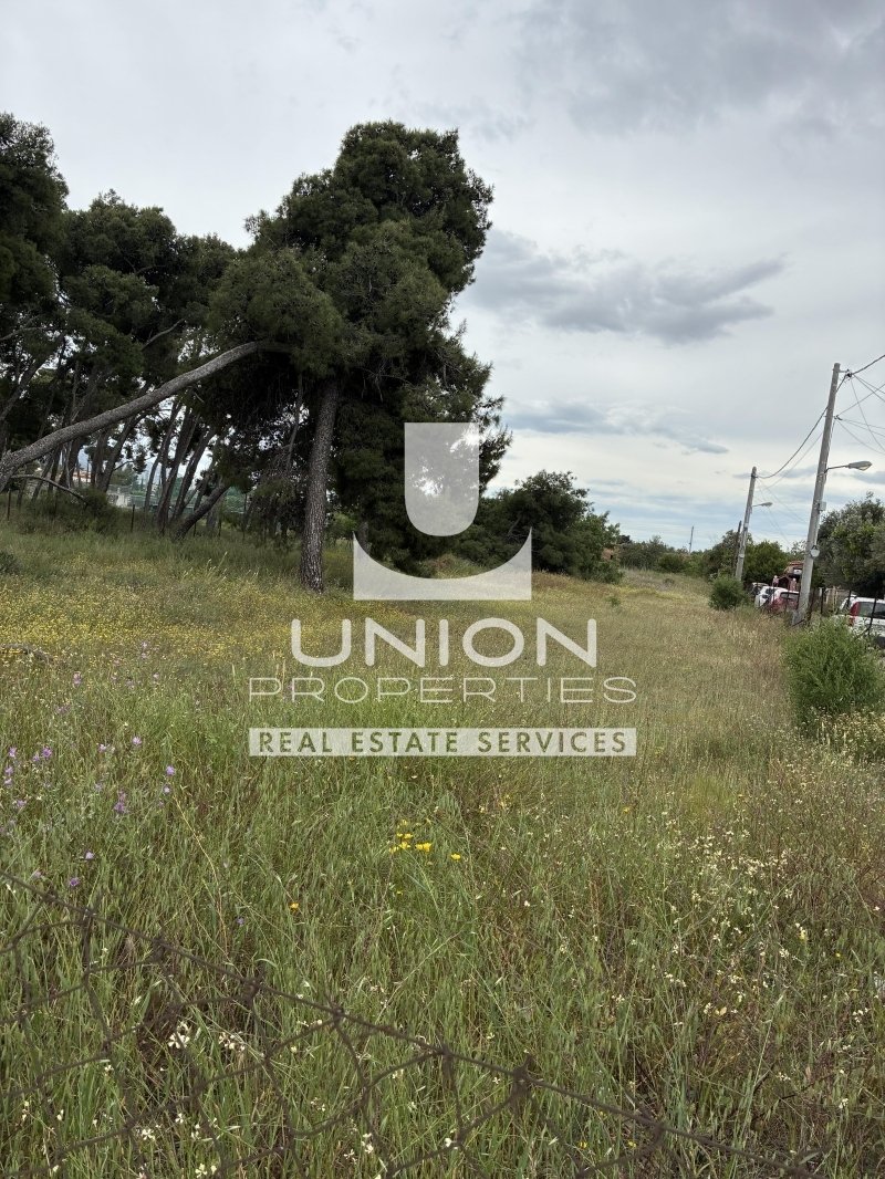 Land in North Athens, Attica, Greece 1 - 15563943
