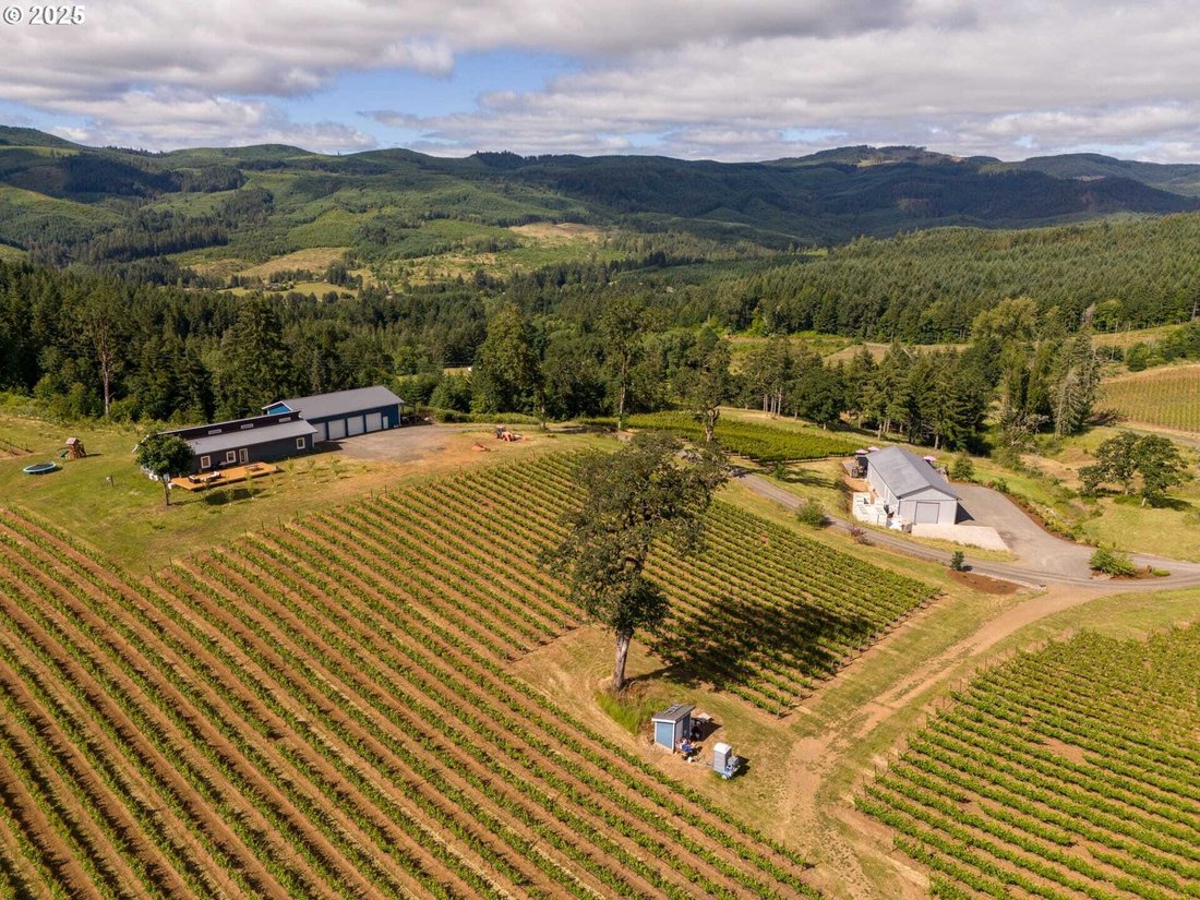 House in Carlton, Oregon, United States 4 - 15579558